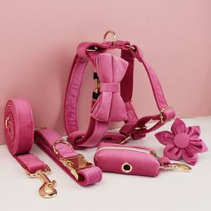 Conjunto de <span class=keywords><strong>collar</strong></span> y correa de perro de terciopelo rojo rosa personalizado, arnés de mascota personalizado con bolsas Pop, accesorio de correa para cachorro - Product Image 1