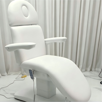 Fauteuil de Salon de Beauté Électrique Moderne à 3 Moteurs, Réglable, en Velours ou Cuir PU, Meuble Portable en Acier