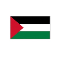 Broche plaquée or gratuite en gros drapeau de la Palestine broche carte conception émail Palestine broche insigne en stock