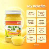 Prix de gros : Packs de gel en vrac de mousse de mer aux myrtilles irlandaises pour le soutien immunitaire des adultes