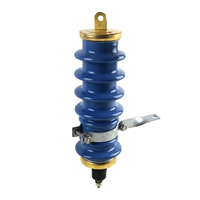 Parafoudre à oxyde métallique en porcelaine 10KV 12KV 15KV 24KV, conception à fente externe, indice de protection IP68, conforme à la norme IEC6099-4, nominal
