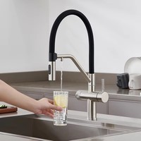 Robinet de cuisine moderne en acier inoxydable, à poser sur comptoir, avec double poignée, col de cygne, pivotant à 360°, à haut arc, pour eau potable