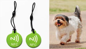 अद्वितीय rpvc qr <span class=keywords><strong>nfc</strong></span> epoxy नाम टैग <span class=keywords><strong>nfc</strong></span> पालतू टैग <span class=keywords><strong>nfc</strong></span> स्मार्ट टैग आपूर्तिकर्ता - Product Image 5