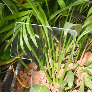 Marqueurs de <span class=keywords><strong>plantes</strong></span> drôles Étiquettes de <span class=keywords><strong>plantes</strong></span> acryliques Marqueurs de pépinière Pots de fleurs Signe de semis Marque de fleurs Identifiant les étiquettes succulentes Tags - Product Image 4