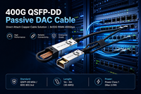 Kabel 400G QSFP-DD DAC ke 400G QSFP-DD untuk Koneksi Tembaga Pasif Uplink Server Rak Superkomputasi Cluster HPC