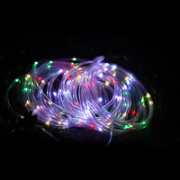 Guirlande lumineuse LED colorée en forme de tube, décoration intérieure de Noël, lumière arc-en-ciel, alimentation CA, commande par bouton, étanche IP33, 2700K chaud