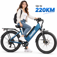 Vélo de livraison commercial Chamrider 48V 55Ah 80Nm à couple élevé, pneus larges 26x3.0, frein à disque hydraulique, porte-bagages arrière, vélo cargo C 55