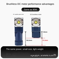 Ruizhanpeng Motor DC Magnet Permanen Poros Padat Sudut Kanan Tanpa Hall Tanpa Sikat Miniatur 220V Kecepatan Dapat Diatur Gigi Variabel
