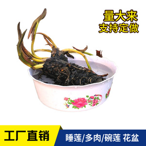 Pot de fleurs en plastique pour la culture du lotus, blanc avec impression, pot hydroponique durable, utilisation intérieure et extérieure - Product Image 5