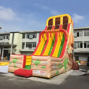 Factory Direct Inflatable Slide Children Castle Outdoor Playground Large Giant Inflatable Slide Double Lane