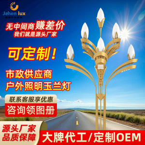 Lampes LED Magnolia Premium en Gros, Éclairage Paysager pour Routes Municipales, Lampes pour Places de Sites Touristiques, Éclairage pour Projets d'Ingénierie Électrique Municipale - Product Image 3