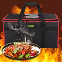 Sac isotherme Igloo à la mode Offres Spéciales pour lait maternel Logo personnalisé pour l'été