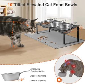 Bols surélevés pour chats avec tapis anti-vomissement, support d'alimentation en métal mignon pour chatons et chiots d'intérieur - Product Image 4