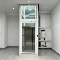 Ascensore Idraulico per Villa con Cabina in Vetro, Capacità 400kg, 3-4 Piani, Lussuoso, Moderno, Funzionamento Silenzioso, Ascensore Domestico