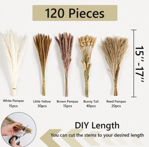 Magnifiques fleurs séchées naturelles Arrangements <span class=keywords><strong>de</strong></span> roseau <span class=keywords><strong>de</strong></span> pampa Bouquets <span class=keywords><strong>de</strong></span> mariage <span class=keywords><strong>de</strong></span> fête pour Noël Pâques Halloween Nouvel An - Product Image 3