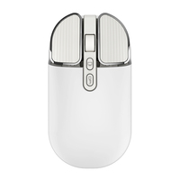 Personnalisé Slim Ergonomique pour Apple Mouse avec LED Rétro-éclairé Rechargeable Sans Fil pour Bluetooth pour Ordinateurs Portables Compatible TYPE-C
