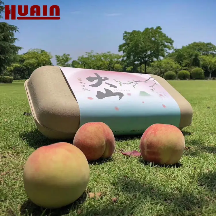 Disposable Biodegradable Pulp Fruit Peach Carton With Gift Box Packaging