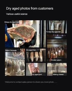 ตู้แช่เนื้อแบบ Dry Age ขนาด 249 ลิตร ตู้แช่เนื้อสำหรับ Dry Age ขนาด 170 ลิตร เครื่องบ่มเนื้อและปลาสำหรับใช้ในบ้าน - Product Image 6