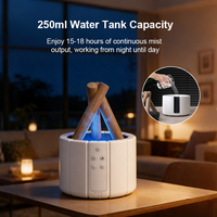 Petits appareils électroménagers en dropshipping : Diffuseur de parfum flamme avec télécommande pour voiture et maison