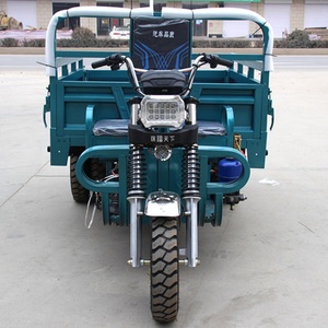 Tricycle électrique cargo à 3 roues, chinois, 1000W, en acier, véhicule électrique agricole, certificat EEC pour le transport de marchandises - Product Image 4