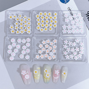 3D Resin <b>Flower</b> & Bow Nail Art Charms Set 6 Grids Transparent Storage Box Spring Summer DIY Nail Decorations for Salon Home - Product Image 5