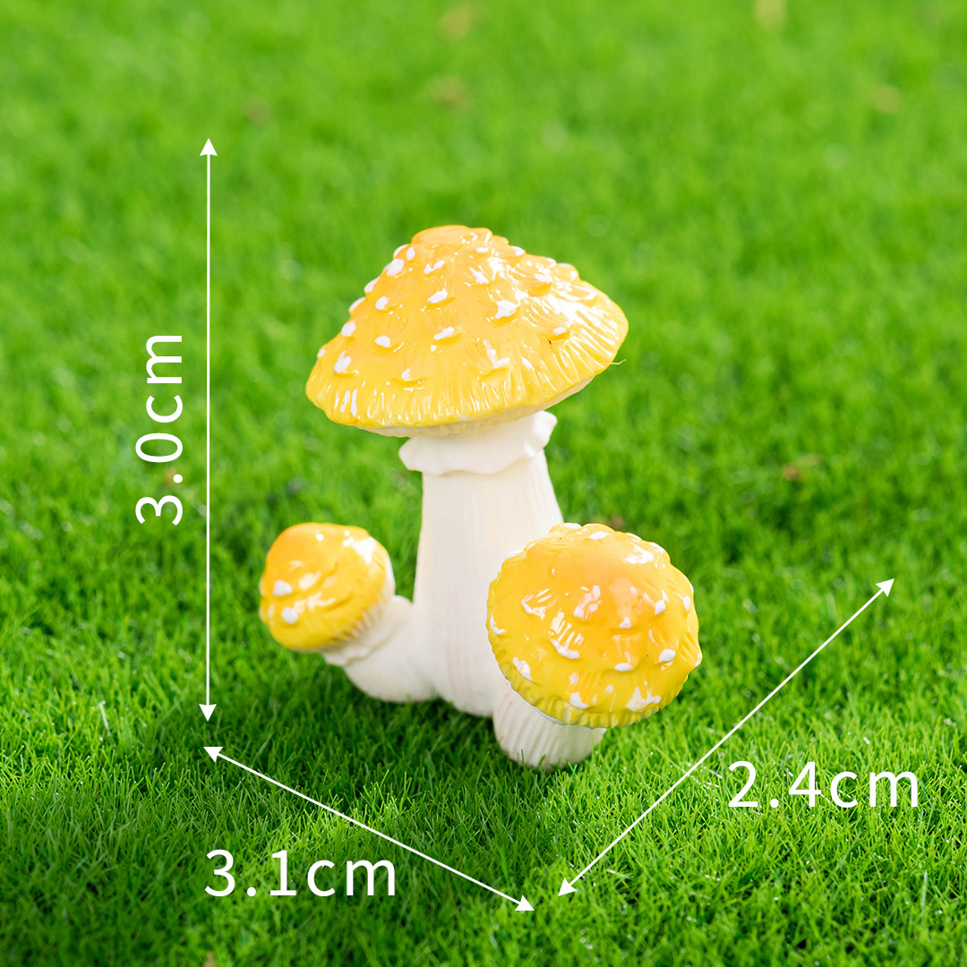 N°7 Champignons de Sang de Canard Perle Dorée