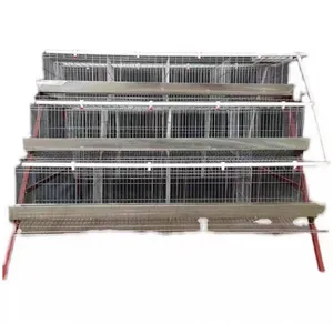 Hot Sale Galvanized Automatic A Type Chicken Cages Layer Poultry For Farming Equipment
