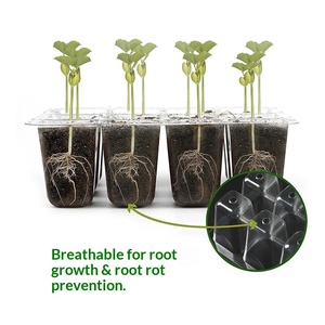 Pot de plantation multifonctionnel pour plantes succulentes en pot, avec trous de ventilation, boîte à <span class=keywords><strong>semis</strong></span>, plateau à <span class=keywords><strong>semis</strong></span> 12 trous, ensemble spécial PET - Product Image 5