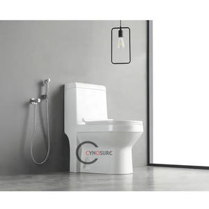 Toilettes modernes à fermeture douce, siphon en P, céramique sanitaire, céramique européenne, toilettes monobloc au sol - Product Image 3