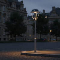 Lampe Solaire de Jardin Extérieure Alimentée par Courant Alternatif, Pro Aluminium pour Villa, Éclairage LED de Paysage, Indice de Protection IP66, Angle de Faisceau 150°, 2500lm, Garantie 5 Ans