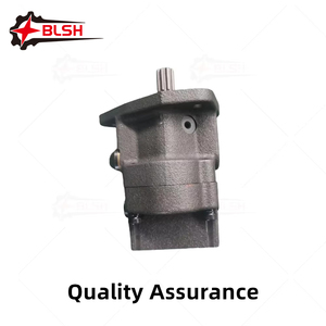 BLSH 680354-100 23532874 Pièces de <span class=keywords><strong>moteur</strong></span> diesel <span class=keywords><strong>Pompe</strong></span> d'<span class=keywords><strong>alimentation</strong></span> en carburant pour Detroit - Product Image 2