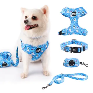 Hot Selling Printed Mesh Reversible Dog Harness Set Custom Logo Design No Pull Neoprene Soft Small Dog Harness And Leash Set