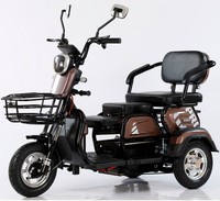 Triciclos eléctricos abiertos de 800W, nuevo Triciclo de carga grande de 3 ruedas de China, carrito expendedor eléctrico, triciclo de carga, trimotos eléctricos