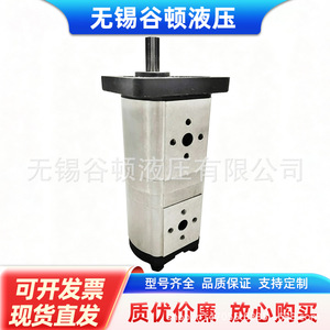 ปั๊มเกียร์ไฮดรอลิก CBN CBT G314 304 F310 306 เหล็กหล่อสำหรับระบบไฮดรอลิก - Product Image 3