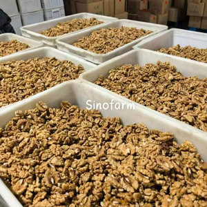 Nueces de Gran Tamaño al por Mayor, Nueces con Cáscara, Frutos Secos, Nueces Naturales Crudas para Hornear - Product Image 6