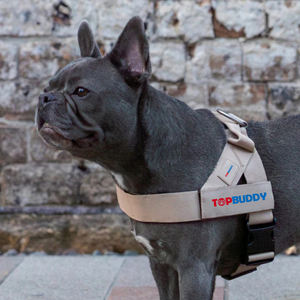 Dapat disesuaikan tali kekang anjing coklat dengan nama dapat disesuaikan rompi lembut bernapas untuk anjing kecil sedang - Product Image 3