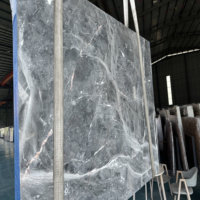 Les plus populaires |   Marbre gris brillant, adapté aux halls d'entrée, au pavage des sols et à la décoration murale de la maison