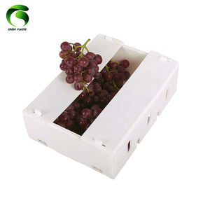 Caja de almacenamiento de fotos de plástico de polipropileno Diseño rectangular ligero plegable 210x185x140mm - Product Image 1