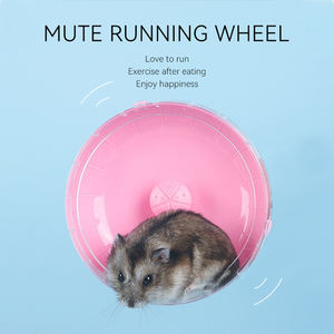 Venta al por mayor pequeña <span class=keywords><strong>casa</strong></span> <span class=keywords><strong>de</strong></span> alambre <span class=keywords><strong>de</strong></span> hierro acrilico Dropshipping grande <span class=keywords><strong>casa</strong></span> <span class=keywords><strong>de</strong></span> hámster PP plástico grande <span class=keywords><strong>casa</strong></span> <span class=keywords><strong>de</strong></span> transporte <span class=keywords><strong>de</strong></span> hámster - Product Image 4