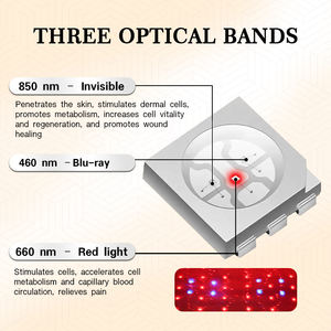 Rotlicht therapie mit doppelter Wellenlänge bei Achilles sehnen entzündung Planta rfasziitis 660nm 850nm Tragbare Füße Knöchel Sport Rehabilitation - Product Image 5
