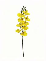 9 têtes d'orchidées artificielles Phalaenopsis avec feuilles, fausses fleurs d'orchidées pour la décoration de la maison, des mariages et des vases