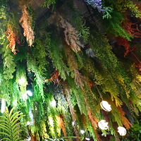 Plantes artificielles vertes : Fougères, Lianes suspendues d'intérieur, Glycines, Gazon synthétique, Panneaux muraux en plastique, Décoration de plafond et de bar