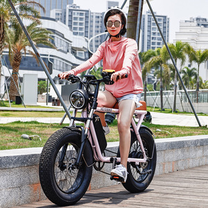 Venta caliente Super Electric Bike 73 20 "x 4,0 Rueda Bicicleta Electrica 48V 500W 750W Motor EBike 14.4Ah Batería Fat Tire Ebike - Product Image 2