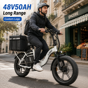 Vélo électrique longue portée 50 Ah, 200 km, pneus larges 20 pouces, vélo cargo avec moteur haute vitesse, prix de gros pour les livreurs - Product Image 1