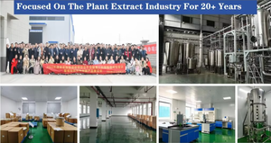 Extrait de fruit de <span class=keywords><strong>Cydonia</strong></span> Oblonga en poudre 10:1 pour complément alimentaire - Product Image 3