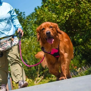 Arnés Ajustable para Perro de Fábrica Bsci, Chaleco Reflectante Antitirones con Asa, Correas Reforzadas de Alta Visibilidad, Control Fácil, Nailon - Product Image 5