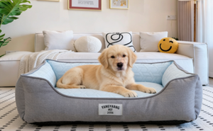 Cama de Lujo para Perros Yangyangpet de Terciopelo con Funda Extraíble y Lavable, Relleno de Espuma de Poliuretano, Forma Cuadrada, Diseño Sólido con Patrón de Dibujos Animados - Product Image 5