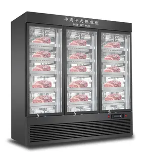 Réfrigérateur professionnel à viande sèche, sous-comptoir intégré, armoire pour viande de bœuf, réfrigérateur à sec