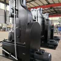 Marteau pneumatique Rowdai Mini C41 460 kg - Outil de forgeage portatif pour fermeurs, multi-tension, prix de gros usine