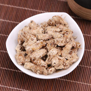 Yuan Can E naturel séché soie papillon mâle Bombyx Mori ver à soie papillon corps entier à vendre - Product Image 4